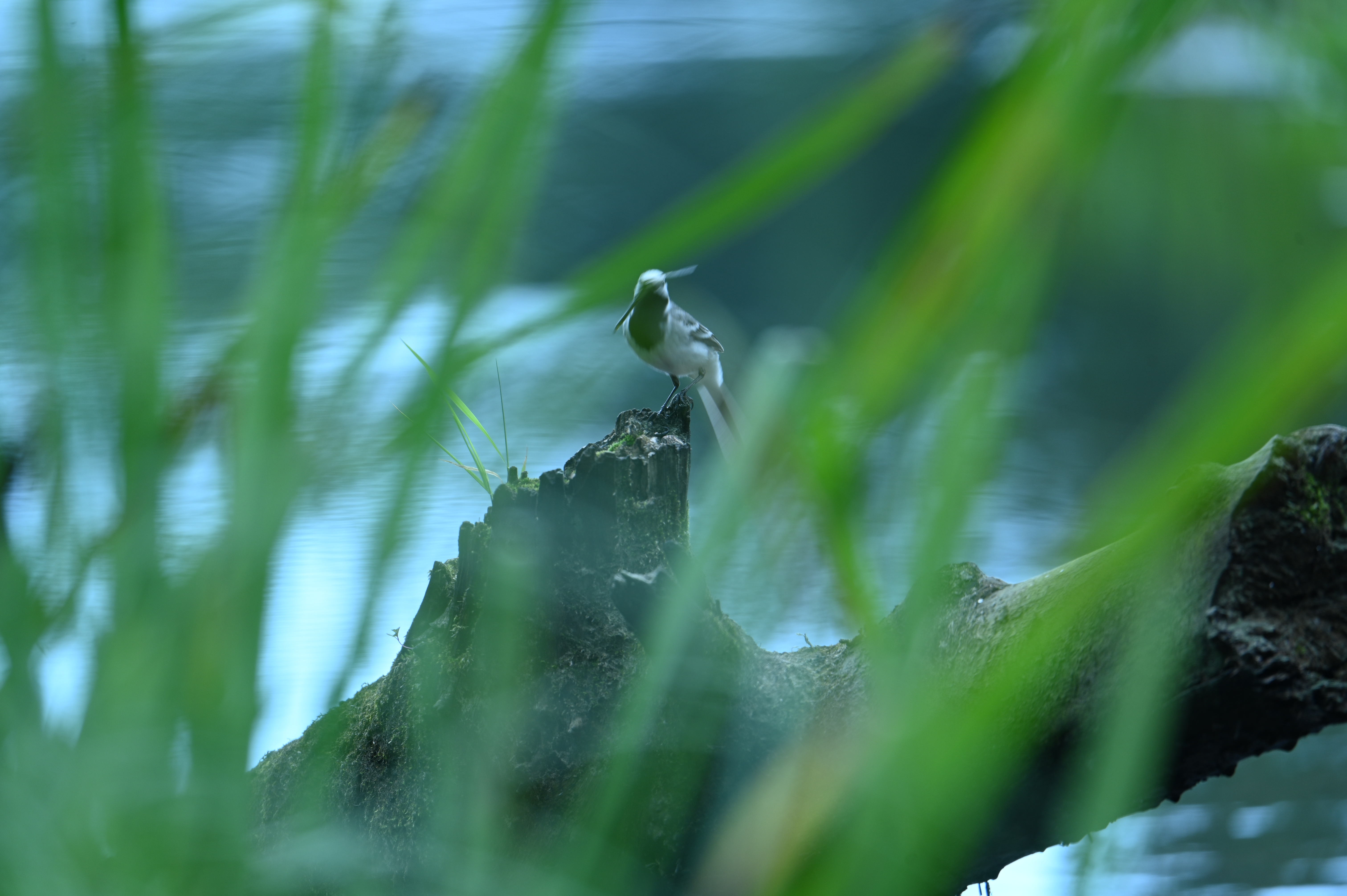 2025/07/09-14 - trip/DSC_0419.JPG